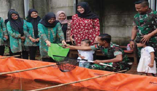 Budidaya Ikan Nila