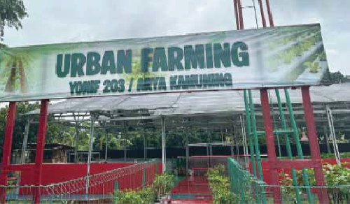 Urban Farming